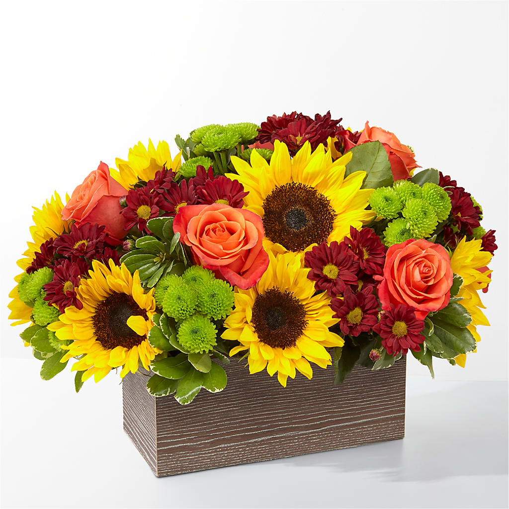 Happy Harvest Garden – SIXTO'S FLOWER SHOP, Union City NJ