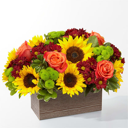 Happy Harvest Garden – SIXTO'S FLOWER SHOP, Union City NJ