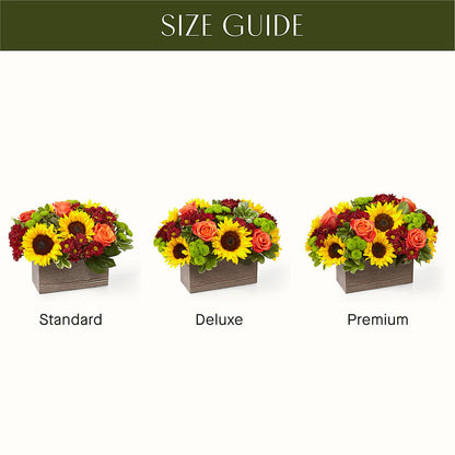 Happy Harvest Garden – SIXTO'S FLOWER SHOP, Union City NJ