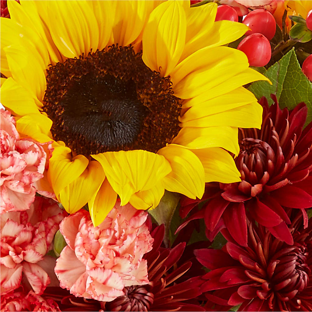 Fresh Cider Bouquet – SIXTO'S FLOWER SHOP, Union City NJ