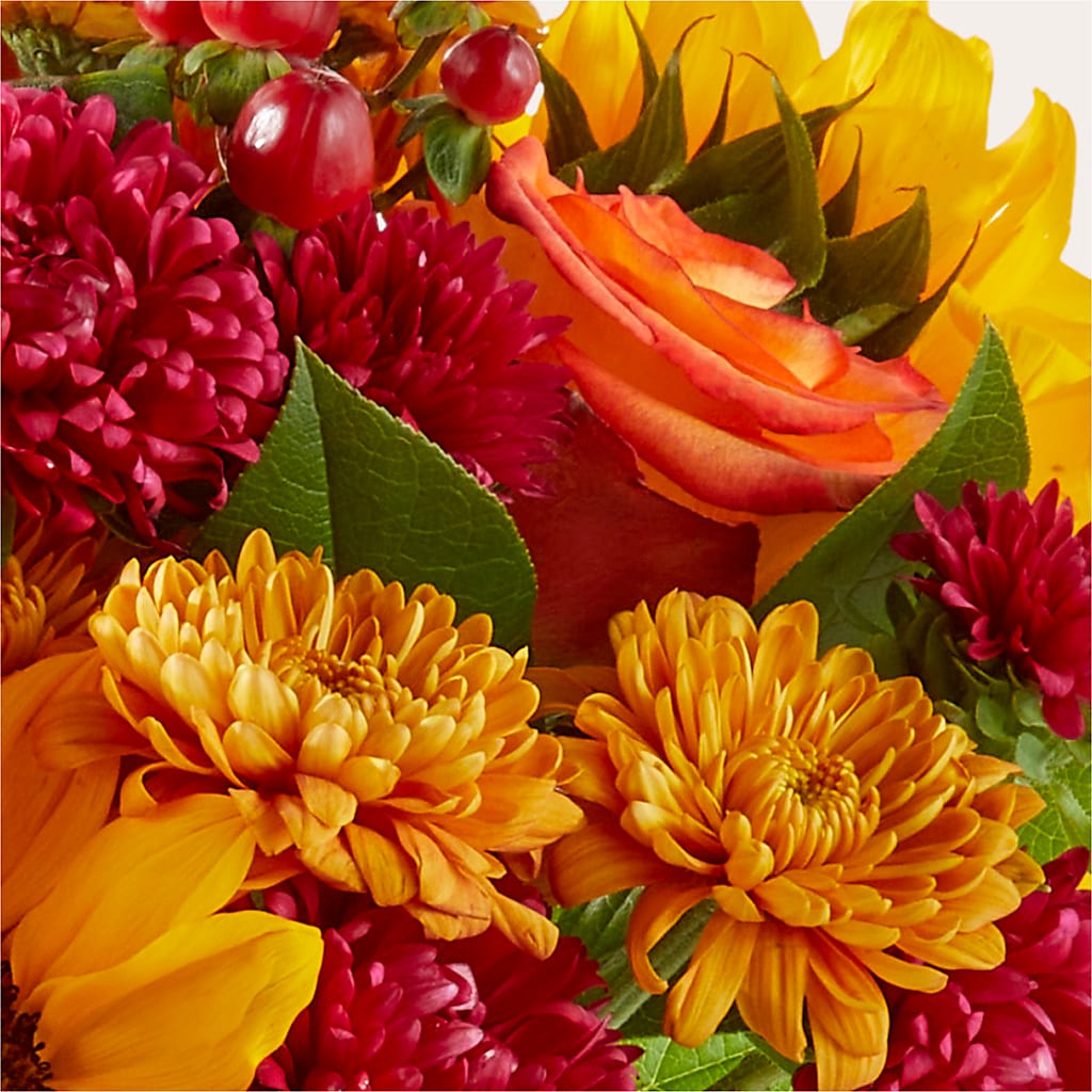Sweater Season - A Florist Original – SIXTO'S FLOWER SHOP, Union City NJ