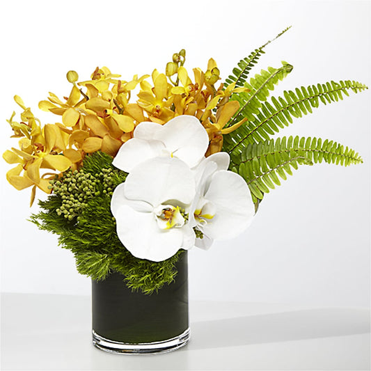 The Tropics – SIXTO'S FLOWER SHOP, Union City NJ
