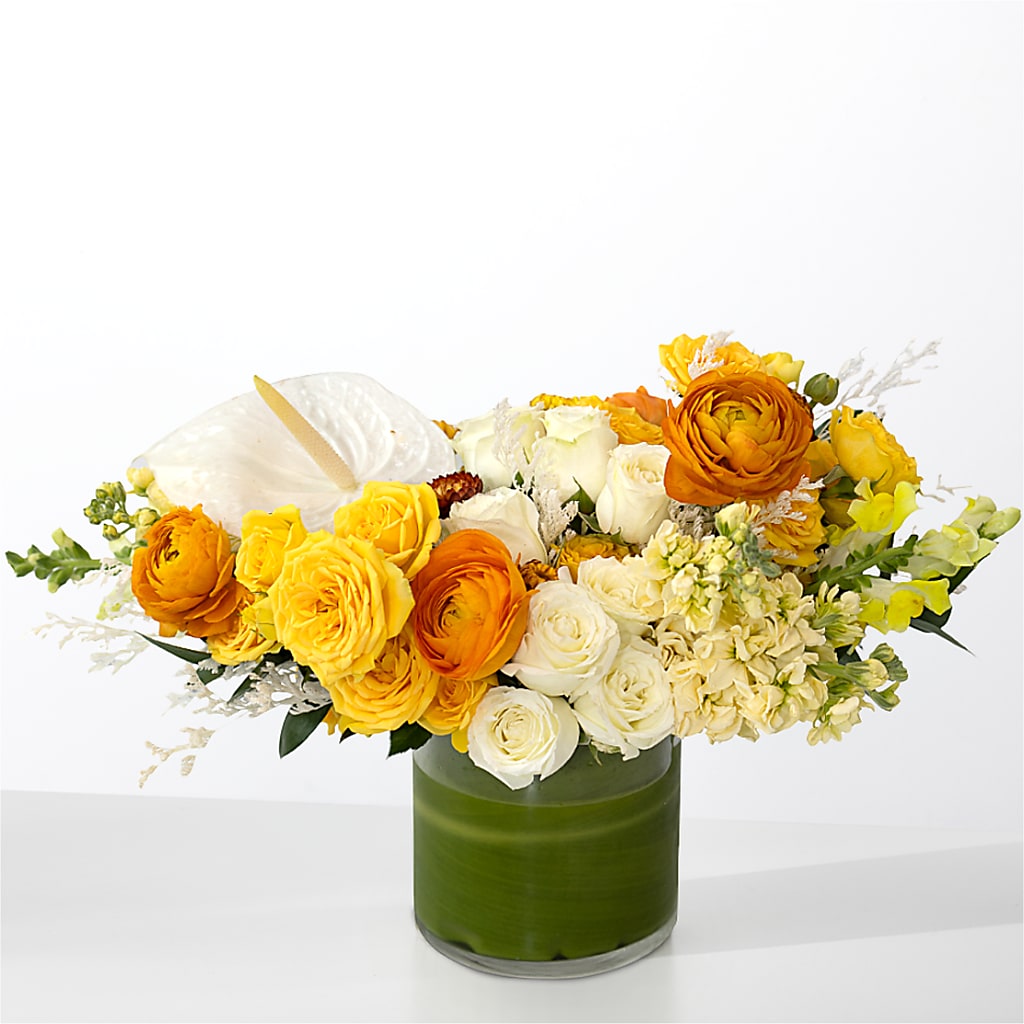 The Optimist – SIXTO'S FLOWER SHOP, Union City NJ