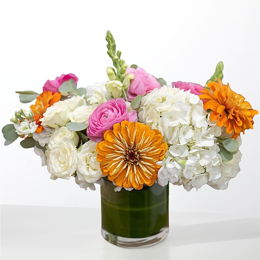 The Meet Cute – SIXTO'S FLOWER SHOP, Union City NJ