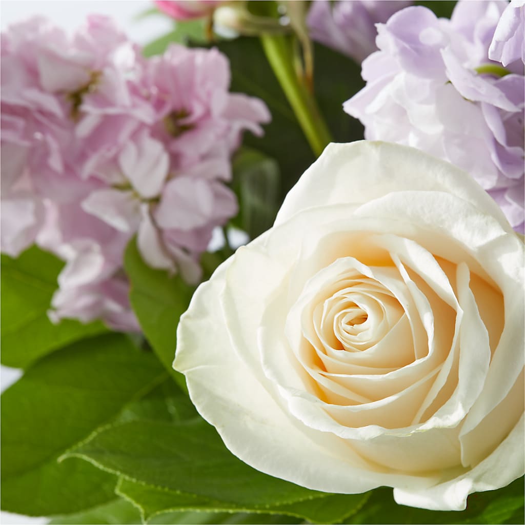 Springtime Spritz Bouquet – SIXTO'S FLOWER SHOP, Union City NJ