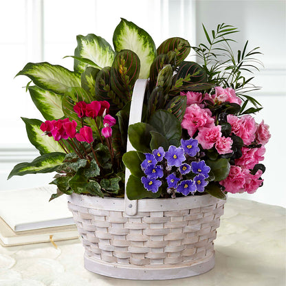 Peaceful Garden Planter – SIXTO'S FLOWER SHOP, Union City NJ