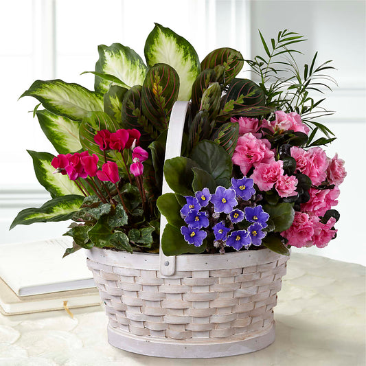 Peaceful Garden Planter – SIXTO'S FLOWER SHOP, Union City NJ