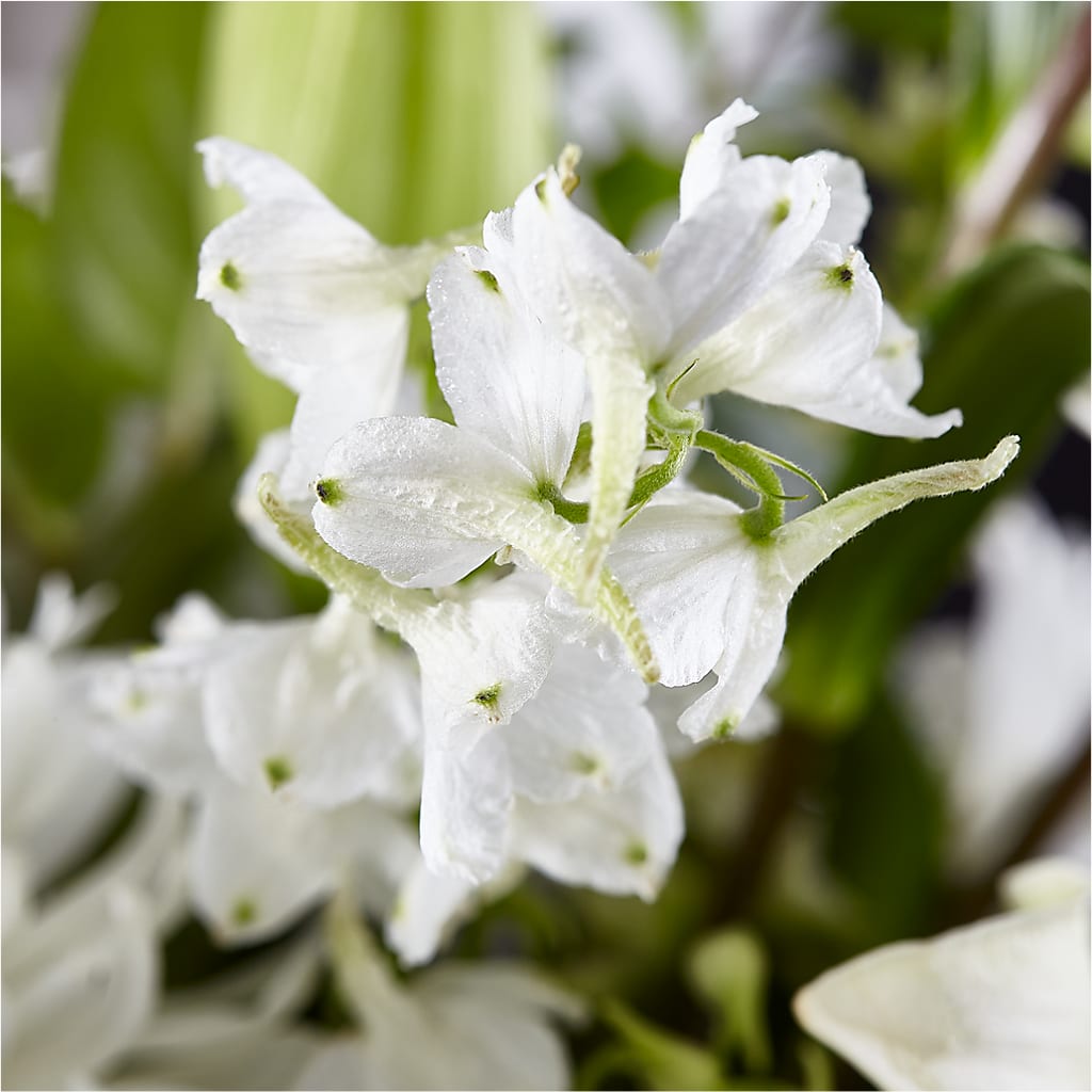 Classic Ivory – A Florist Original – SIXTO'S FLOWER SHOP, Union City NJ