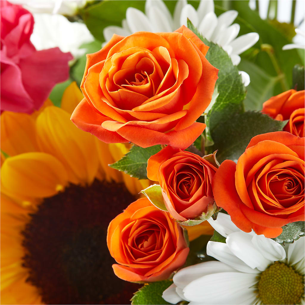 Sun-drenched Blooms Bouquet – SIXTO'S FLOWER SHOP, Union City NJ