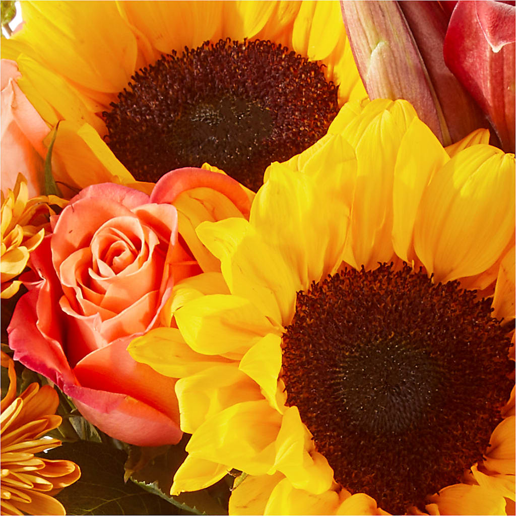 Acorn Lane Bouquet – SIXTO'S FLOWER SHOP, Union City NJ