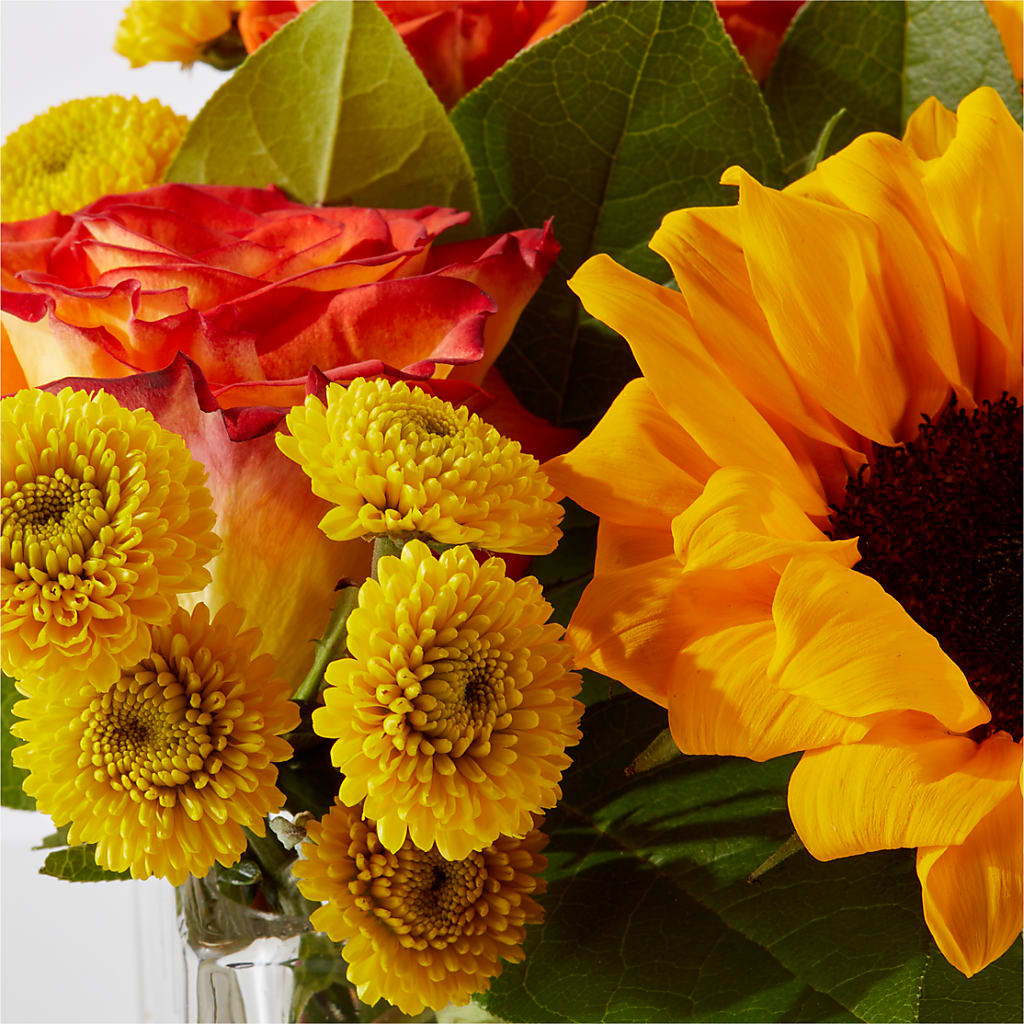 Picnic in the Park Bouquet – SIXTO'S FLOWER SHOP, Union City NJ