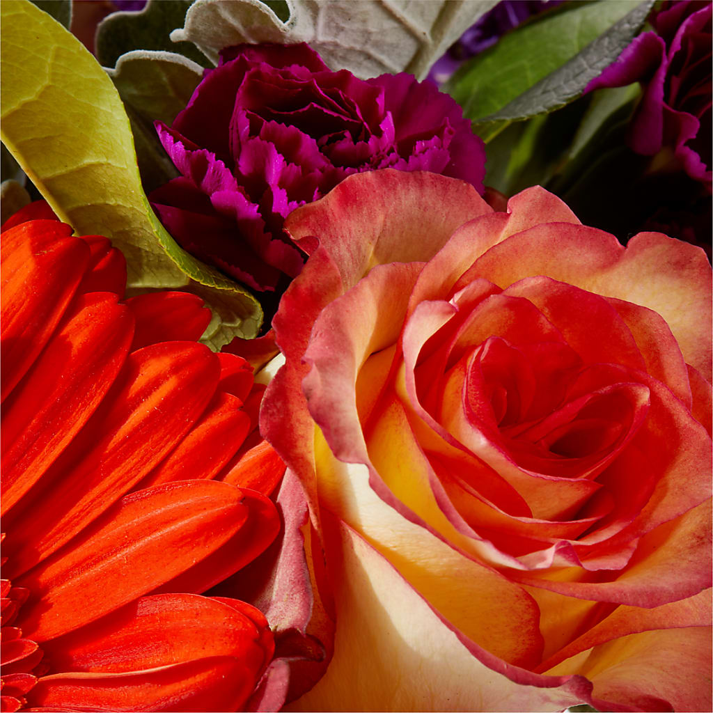 Sangria Bouquet – SIXTO'S FLOWER SHOP, Union City NJ