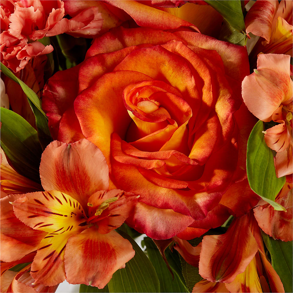 Apricot Glow Bouquet – SIXTO'S FLOWER SHOP, Union City NJ