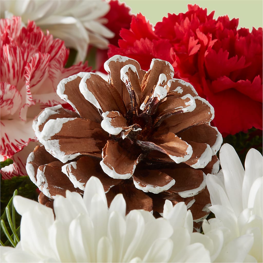 Candy Cane Lane Bouquet – SIXTO'S FLOWER SHOP, Union City NJ