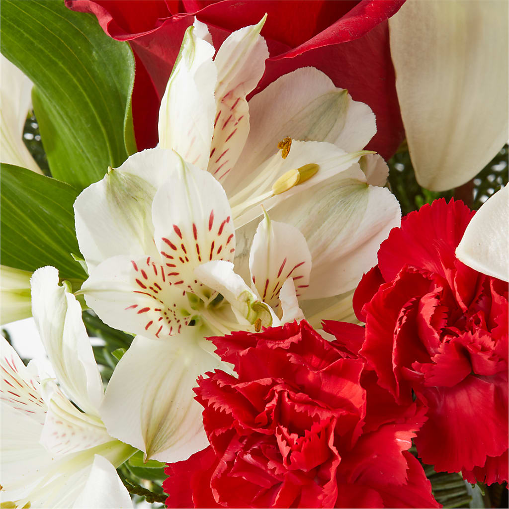 Holiday Season Bouquet – SIXTO'S FLOWER SHOP, Union City NJ