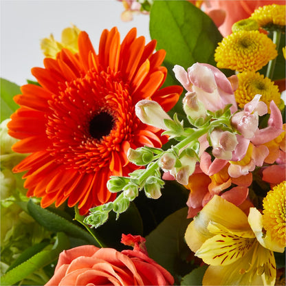 Autumn Sunshine Bouquet – SIXTO'S FLOWER SHOP, Union City NJ