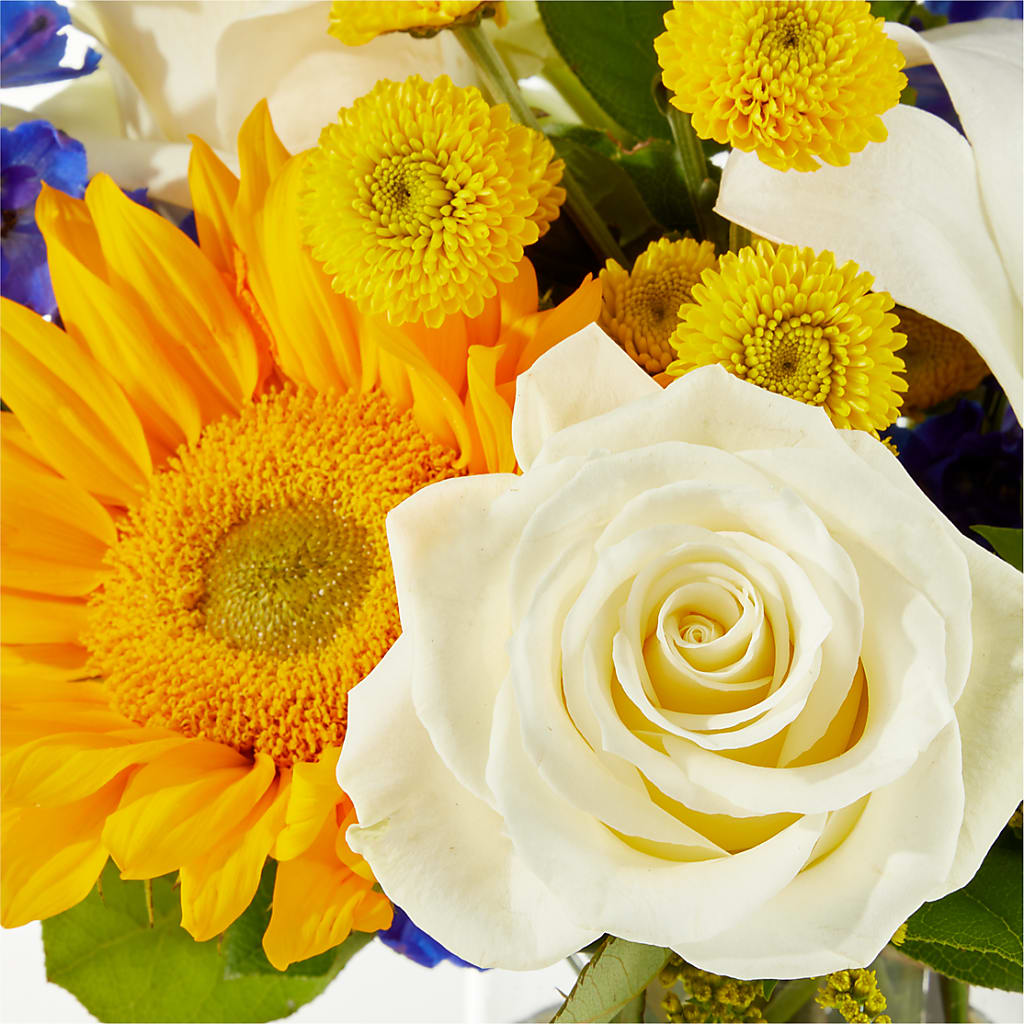 Stargazing Bouquet – SIXTO'S FLOWER SHOP, Union City NJ