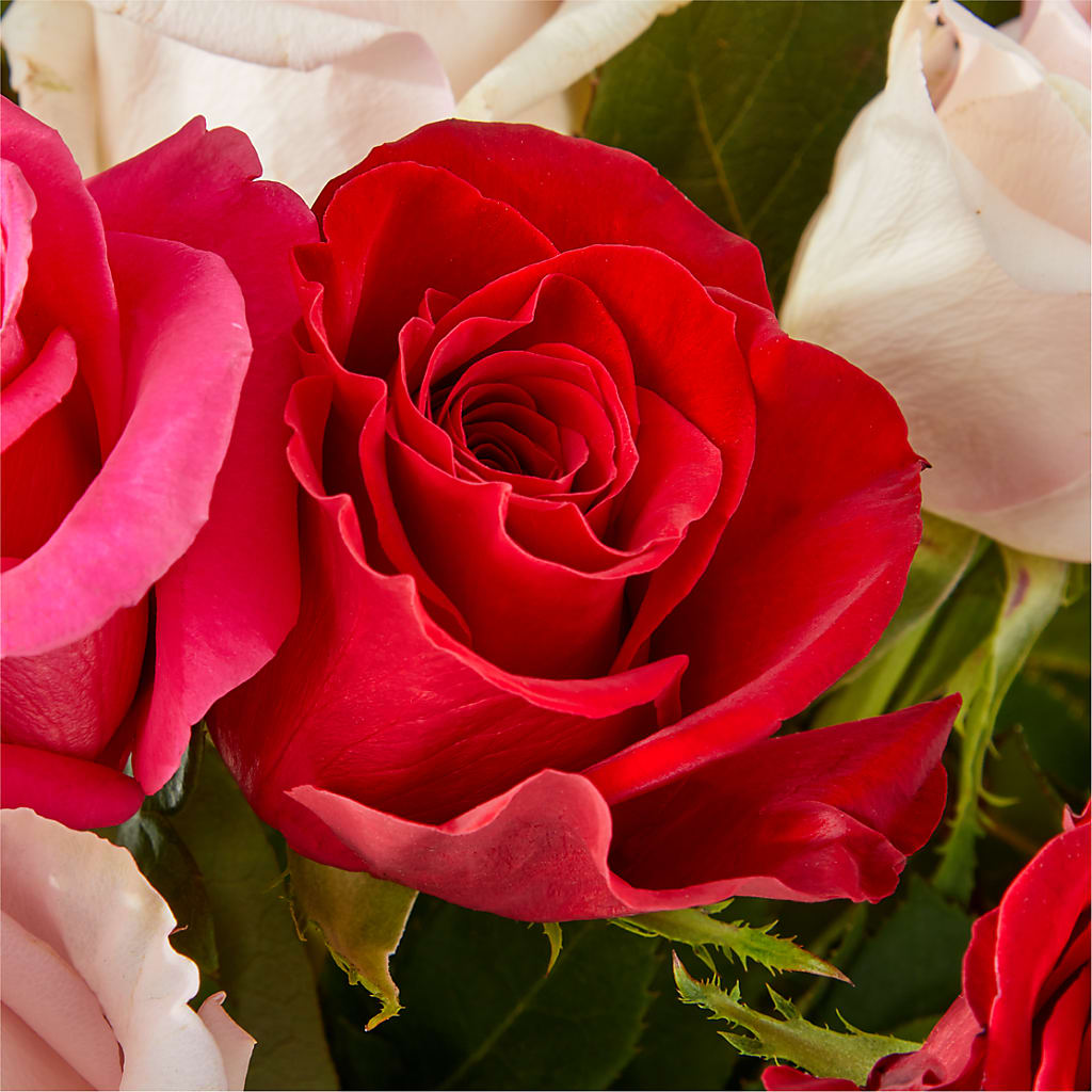 Charming Rose Bouquet – SIXTO'S FLOWER SHOP, Union City NJ