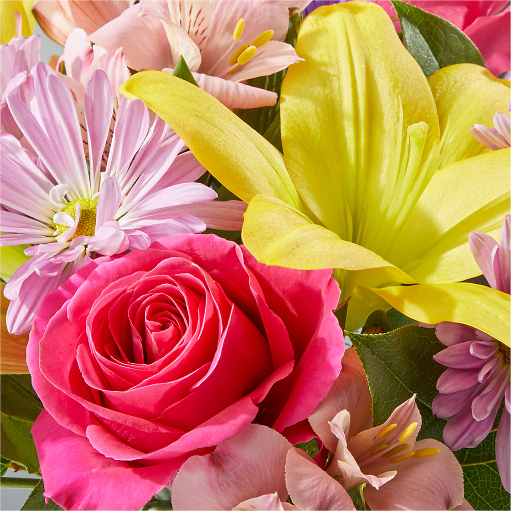 Sprinkles Bouquet – SIXTO'S FLOWER SHOP, Union City NJ