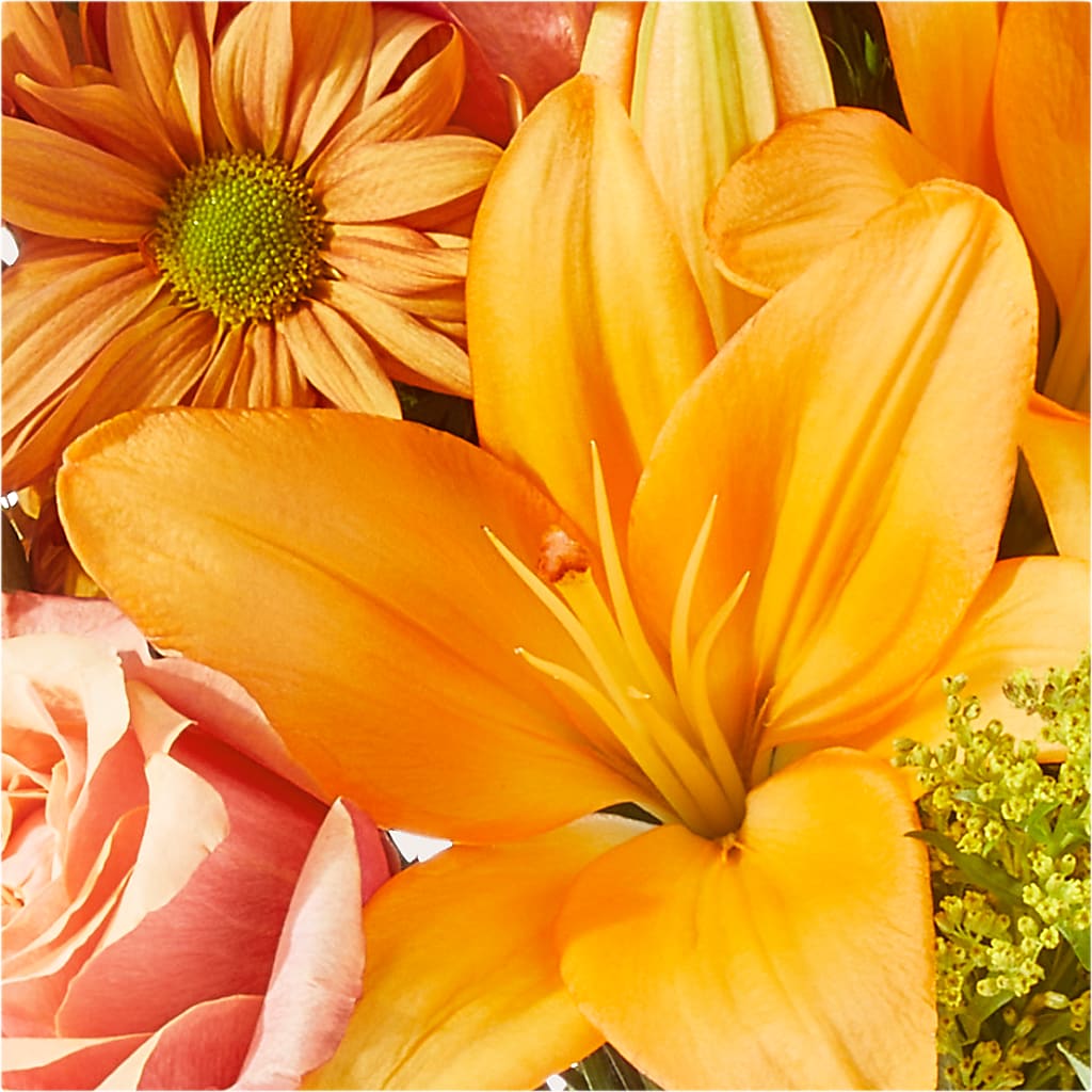 Harvest Hayride Bouquet – SIXTO'S FLOWER SHOP, Union City NJ