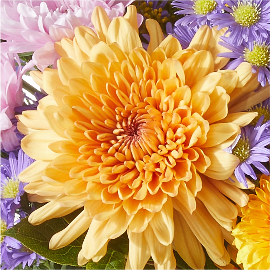 Countryside Bouquet – SIXTO'S FLOWER SHOP, Union City NJ