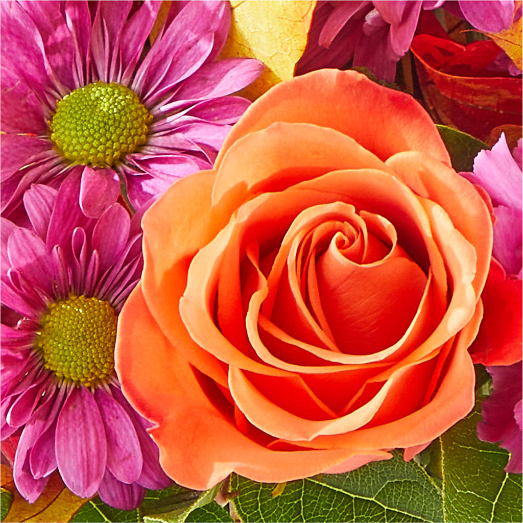 Mum's the Word Bouquet – SIXTO'S FLOWER SHOP, Union City NJ