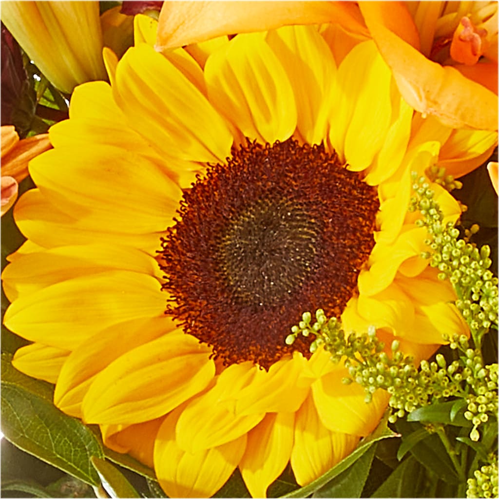 Seasons Change Bouquet – SIXTO'S FLOWER SHOP, Union City NJ