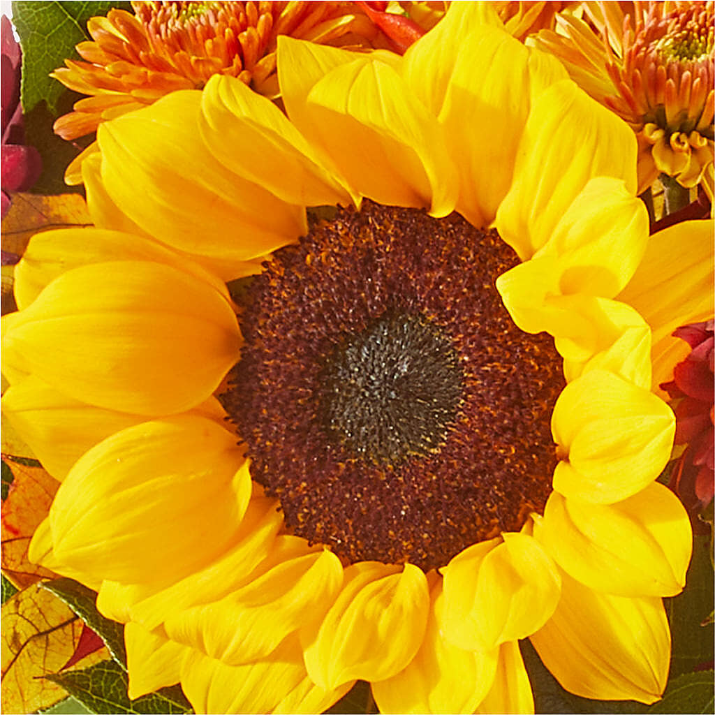 Sunny Side Bouquet – SIXTO'S FLOWER SHOP, Union City NJ