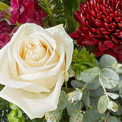 Cranberry Fizz Bouquet – SIXTO'S FLOWER SHOP, Union City NJ