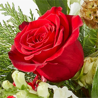 Deck the Halls Bouquet – SIXTO'S FLOWER SHOP, Union City NJ