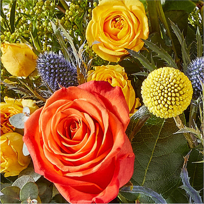 Disco Bouquet – SIXTO'S FLOWER SHOP, Union City NJ