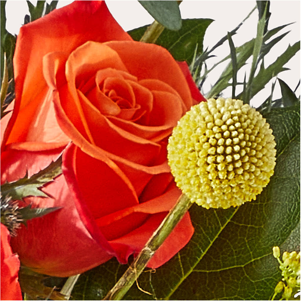 Disco Bouquet – SIXTO'S FLOWER SHOP, Union City NJ