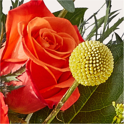 Disco Bouquet – SIXTO'S FLOWER SHOP, Union City NJ