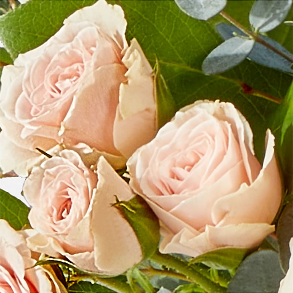 Inspired Bouquet – SIXTO'S FLOWER SHOP, Union City NJ