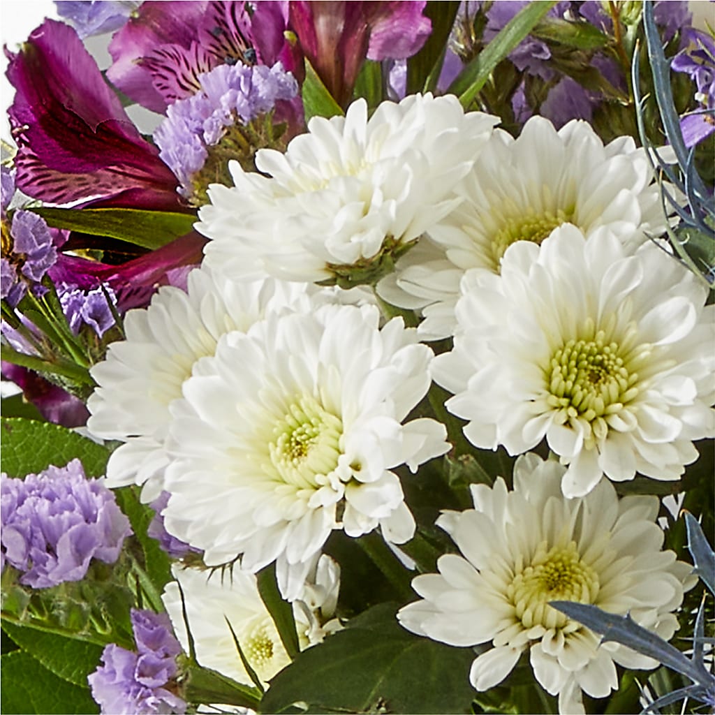 Shooting Star Bouquet – SIXTO'S FLOWER SHOP, Union City NJ