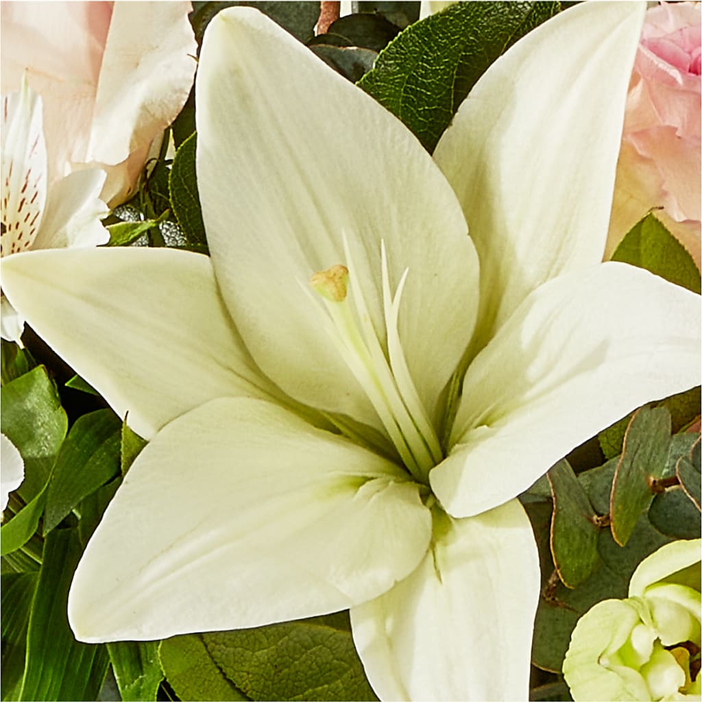 Ballet Slippers Bouquet – SIXTO'S FLOWER SHOP, Union City NJ