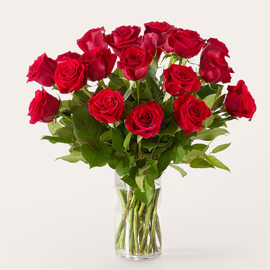 The One Red Rose Bouquet – SIXTO'S FLOWER SHOP, Union City NJ