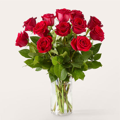The One Red Rose Bouquet – SIXTO'S FLOWER SHOP, Union City NJ