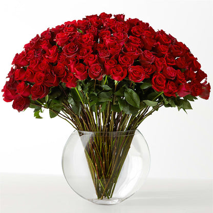 The Idealist – SIXTO'S FLOWER SHOP, Union City NJ