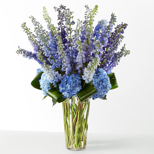 The Editorial – SIXTO'S FLOWER SHOP, Union City NJ