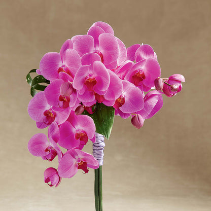 Glorious Bouquet – SIXTO'S FLOWER SHOP, Union City NJ
