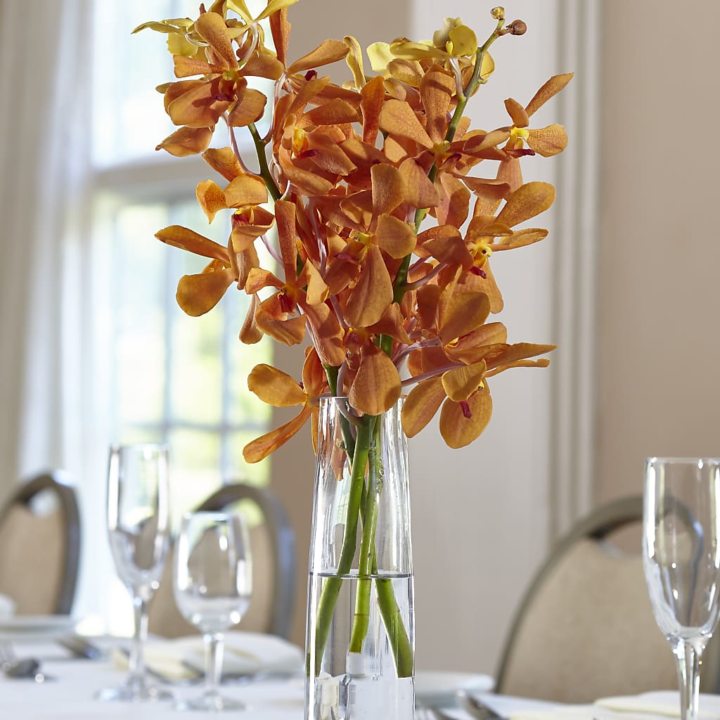 Orange Mokara Bud Vase – SIXTO'S FLOWER SHOP, Union City NJ