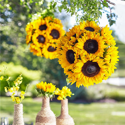 Sublime Garden Hanging Arrangement – SIXTO'S FLOWER SHOP, Union City NJ