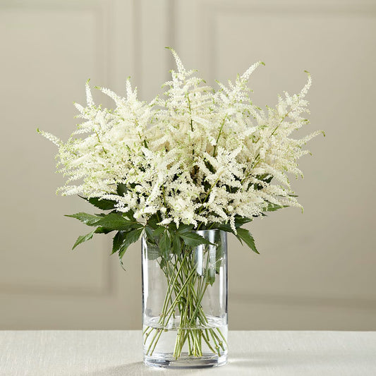 White Astilbe Bouquet – SIXTO'S FLOWER SHOP, Union City NJ