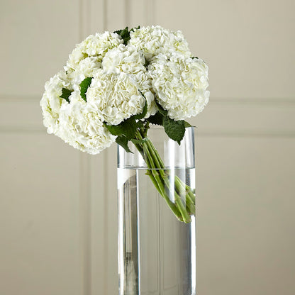 White Hydrangea Hand-Tied Bouquet – SIXTO'S FLOWER SHOP, Union City NJ