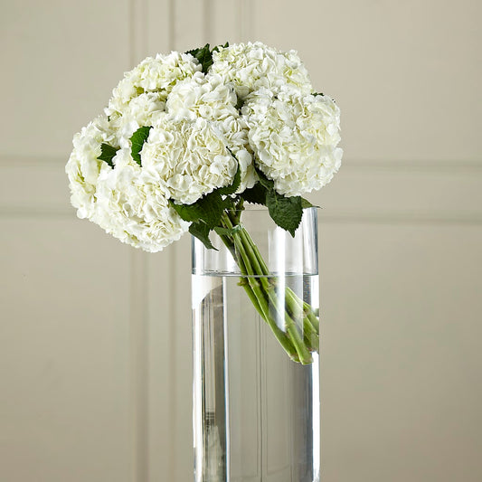 White Hydrangea Hand-Tied Bouquet – SIXTO'S FLOWER SHOP, Union City NJ