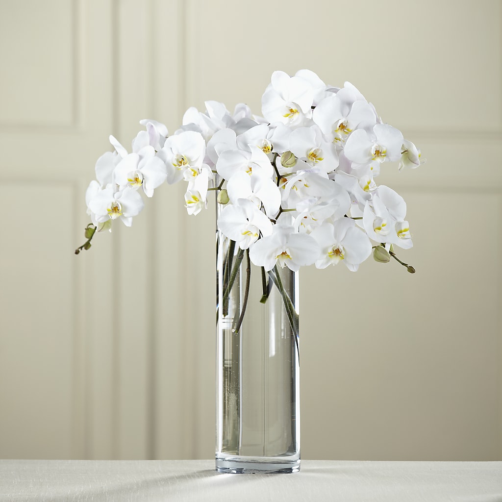 White Phalaenopsis Bouquet – SIXTO'S FLOWER SHOP, Union City NJ
