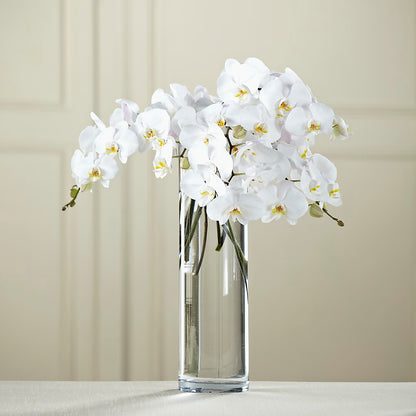 White Phalaenopsis Bouquet – SIXTO'S FLOWER SHOP, Union City NJ