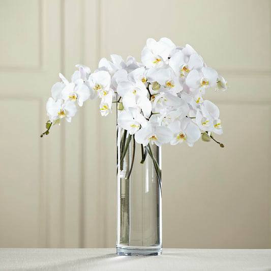 White Phalaenopsis Bouquet – SIXTO'S FLOWER SHOP, Union City NJ