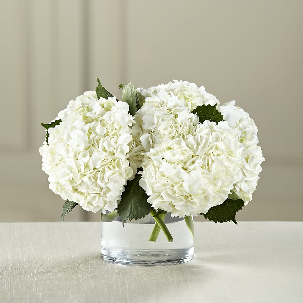 White Hydrangea Bouquet – SIXTO'S FLOWER SHOP, Union City NJ